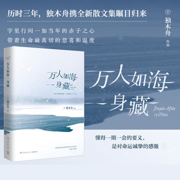独木舟 万人如海一身藏 时隔三年出版散文游记 漫游记夜未眠英国日本