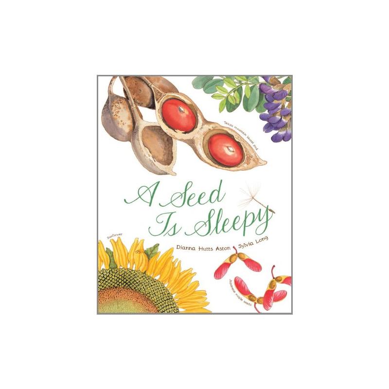 a seed is sleepy—沉睡的种子【原版进口少儿科普书籍】