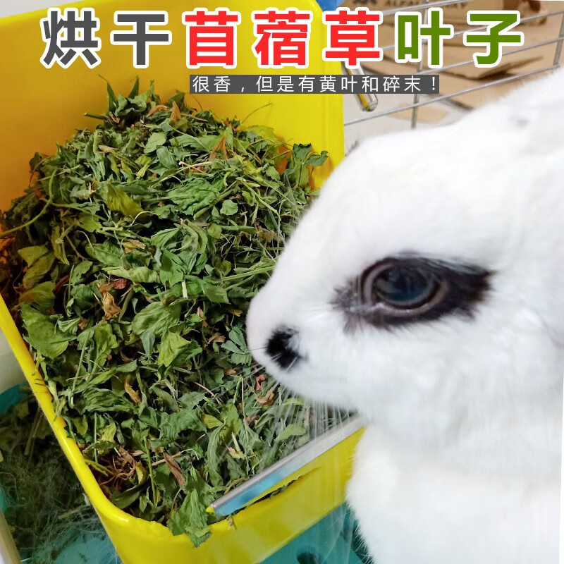 讨论曝光咪贝萌兔粮做工如何，吐槽三星期经验分享