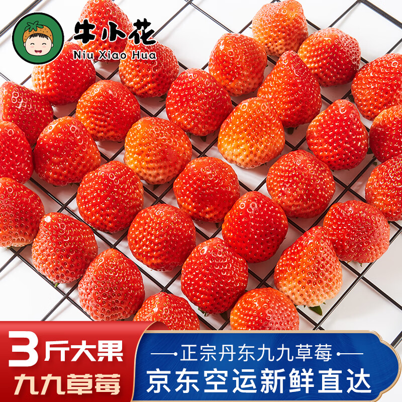 丹东99草莓 红颜奶油大草莓 久久丹东草莓 产地直发 新鲜水果现摘现发 【高性价比】3斤大果【净重2.8斤】