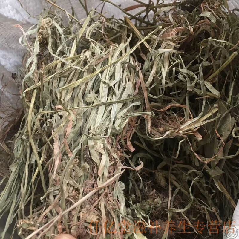 滋补小叶肺心草肺筋草小肺筋草梅花草蛆儿草肺心草一斤 小肺筋草500克