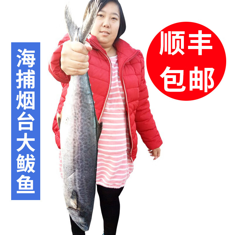 三蟹岛 大鲅鱼 马鲛鱼 鲜活速冻马鲛鱼海捕鱼类大海鱼 海鲜水产海鱼礼盒 13斤装/1条 京东折扣/优惠券