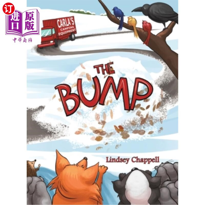 海外直订the bump 凹凸