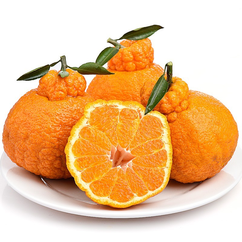酸甜新鲜橙柑橘当季应季桔子不知火水果丑八怪橘子 5斤装中果（70-75）