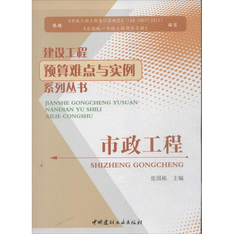 市政工程  张国栋 编  书籍