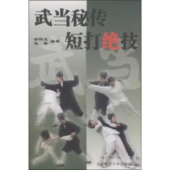 武当秘传短打绝技 游明生,赵蓉 著【正版书】
