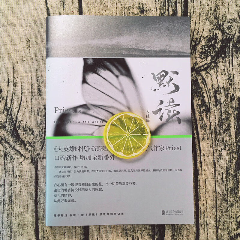 默读3大结局 priest