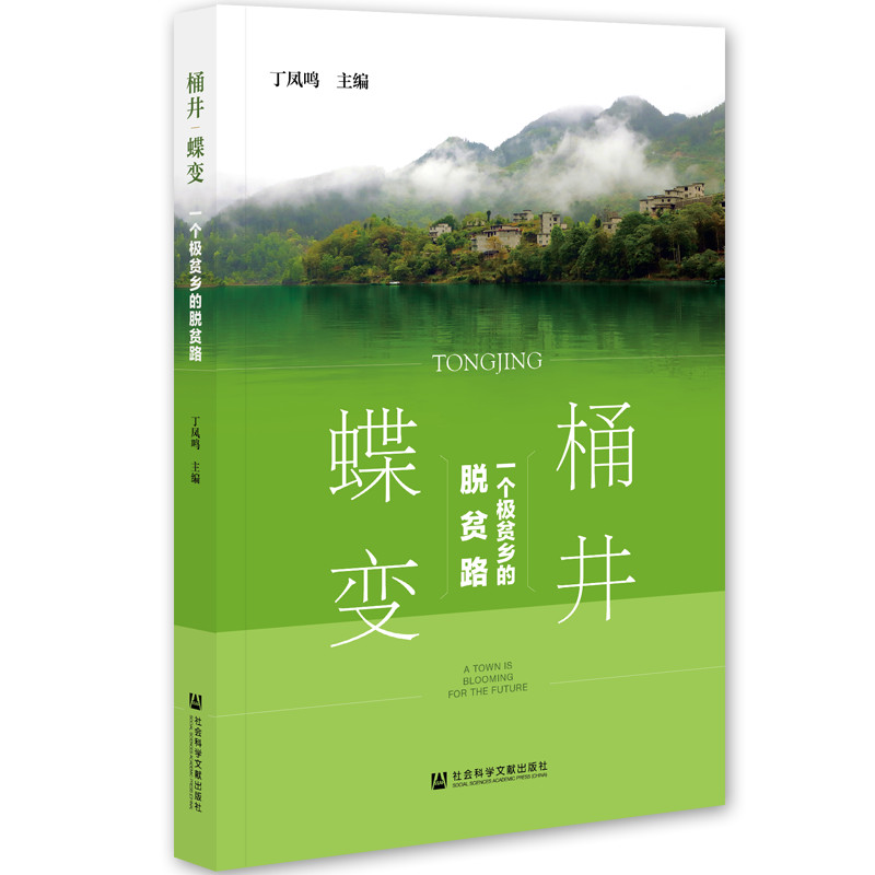桶井蝶变：一个极贫乡的脱贫路