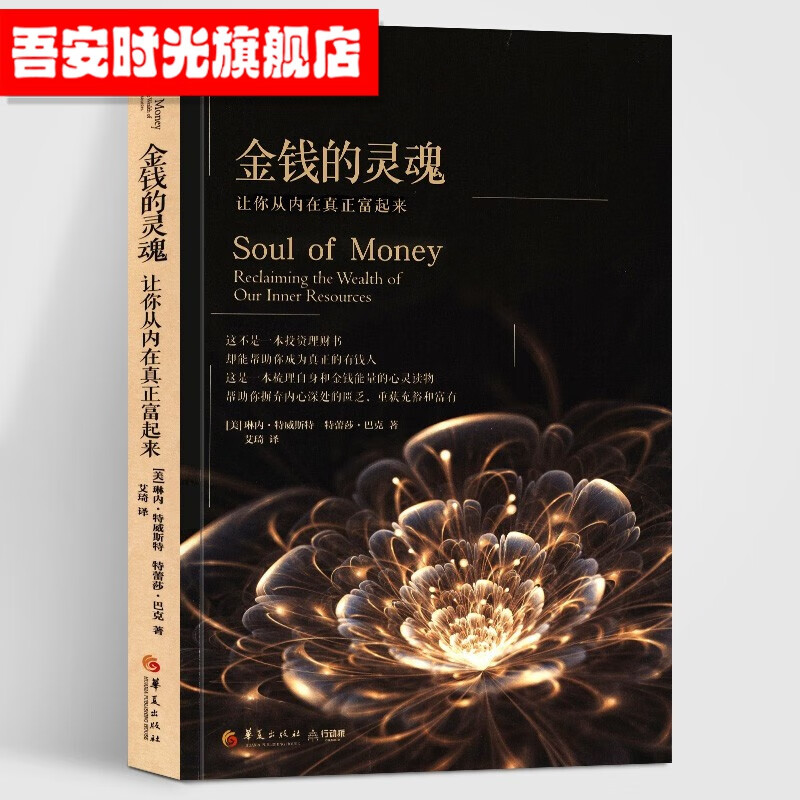 【官方旗舰店】金钱的灵魂：让你从内在真正富起来 经济通俗读物 经济学书籍 理财技巧书籍 金钱的价值