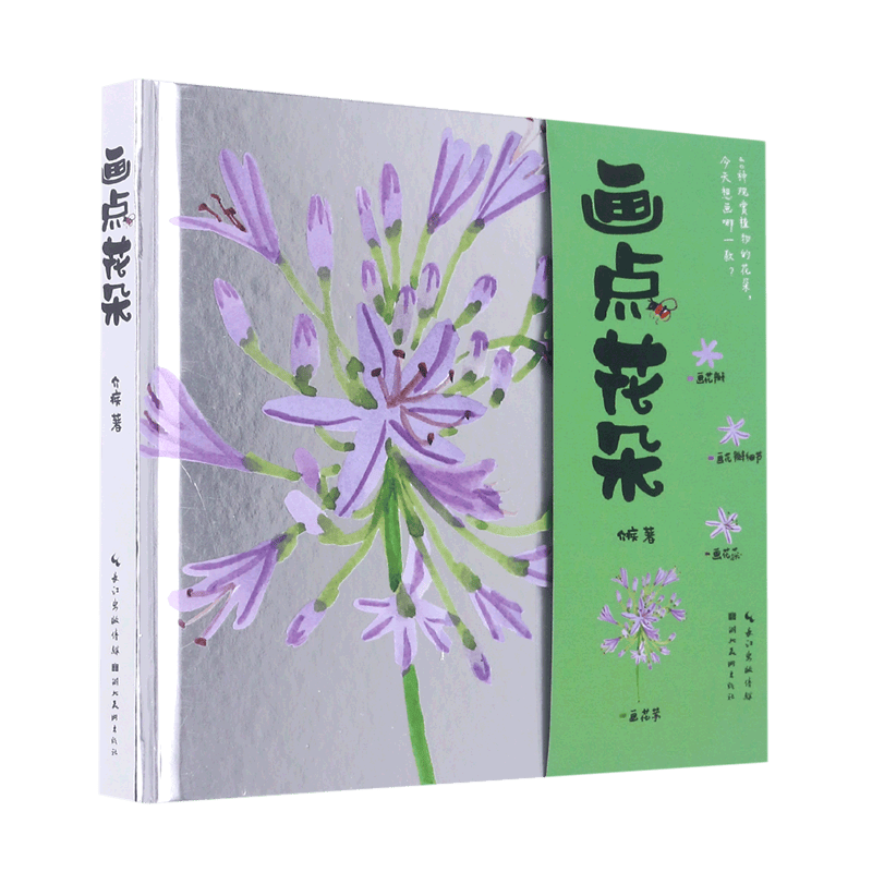 画点花朵 40种植物花朵案例 初学者零基础临摹画集画册果实花卉种子叶子学绘画教程教材书籍 湖北美