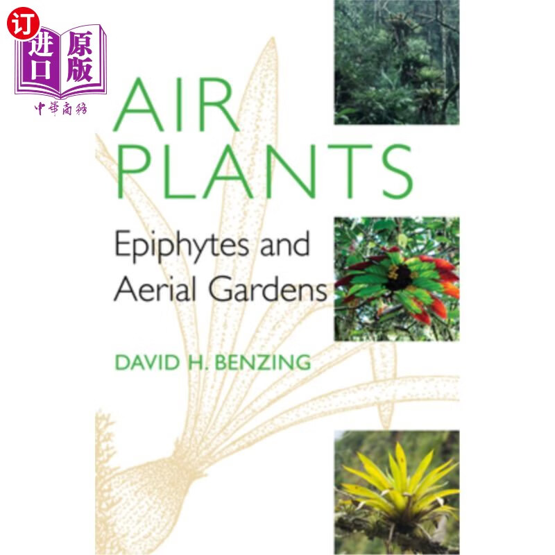 海外直订air plants: epiphytes and aerial gardens 空中植物:附生