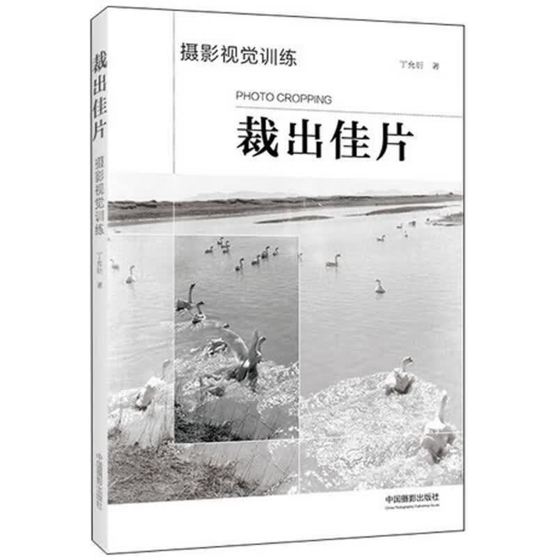 裁出佳片 丁允衍  书籍