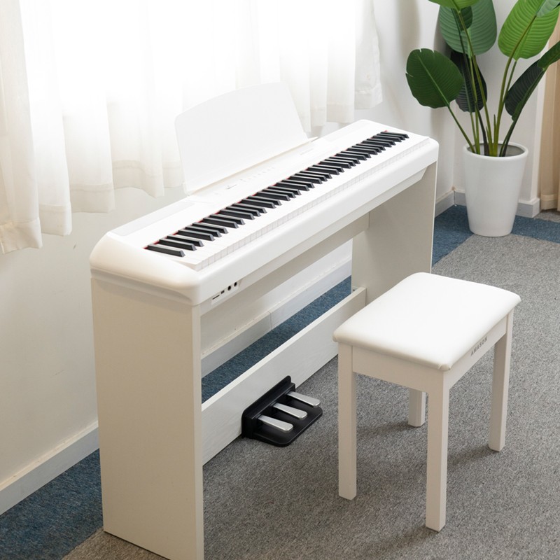 珠江艾茉森电钢琴88键重锤P60初学者电子数码钢琴专业便携式家用 P60 白色 单机+单踏