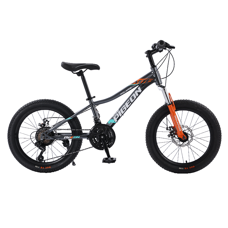 �ɸ루FG FLYING PIGEON���ɸ��ͯ���г���Сѧ����ɽ�س���Ů����ŵ����ͨ�ڵ���ԽҰ���� 21��20��-����ŵ����-��ɫ 2996Ԫ��4��(��749Ԫ/��)