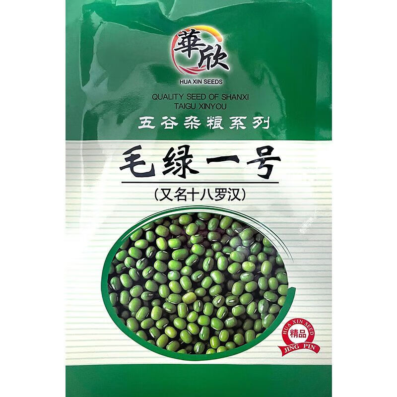 毛綠一號(hào)綠豆種子春播豆子種子早熟抗病好春季種子秋季菜園種 毛綠一號(hào)綠豆80克X1袋非轉(zhuǎn)基因