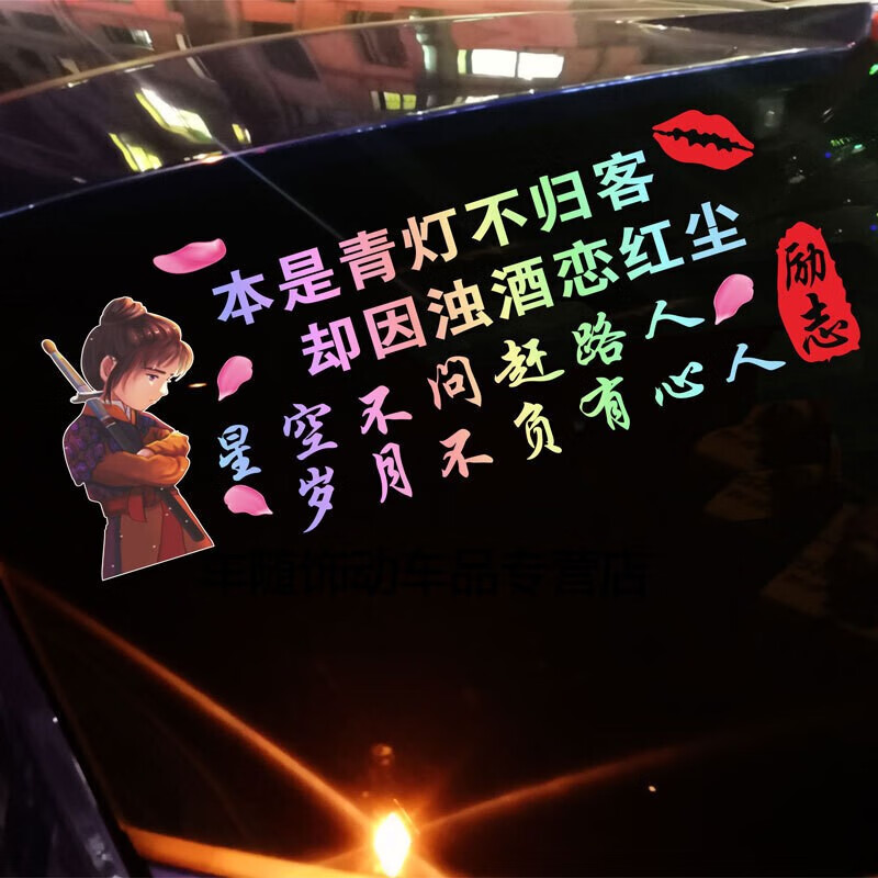 智宙适用于车贴创意抖音个性励志文字装饰后档个性汽车贴纸 宝不归客