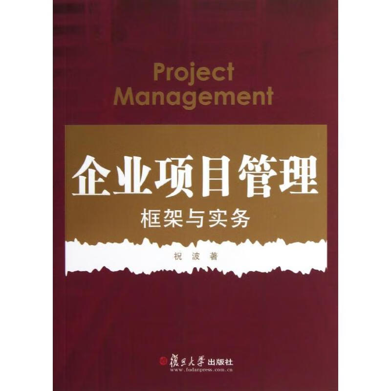 企业项目管理 祝波 作 书籍