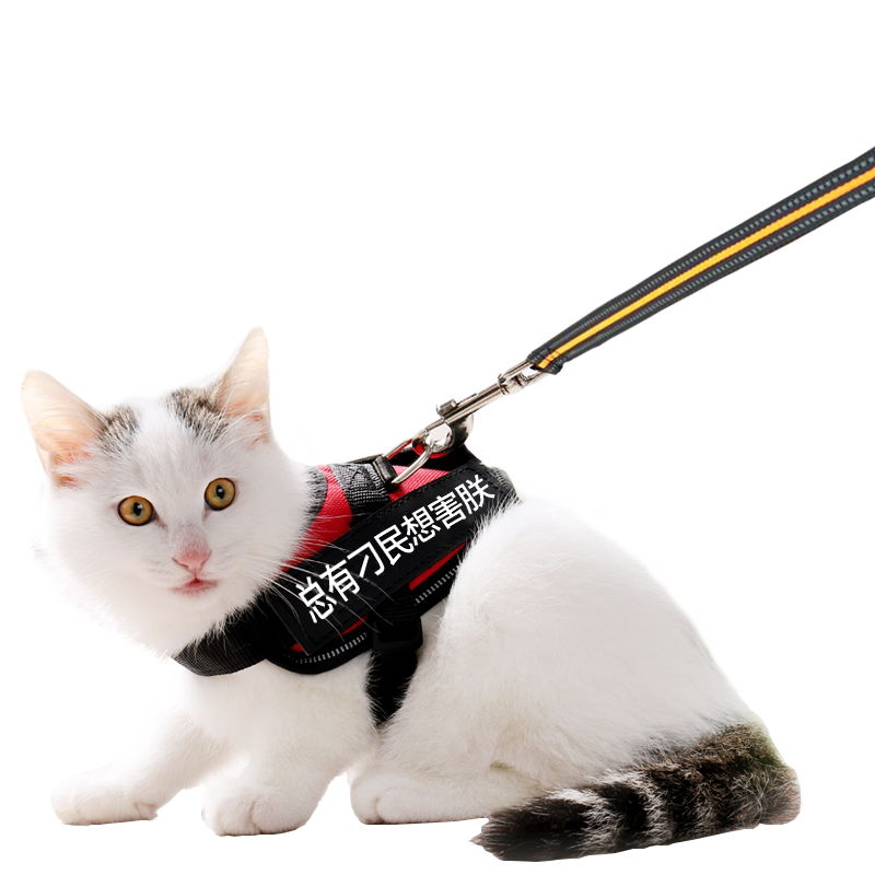 派乐特宠物猫绳小型犬狗绳通用胸背带L，品质保障引领市场潮流！