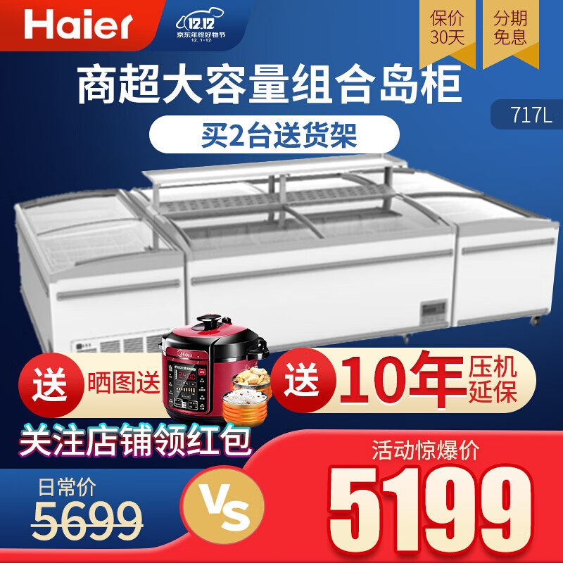 海尔（Haier）冰柜商用冷藏柜 大容量卧室冷柜  冷冻转换商用 冷冻单温转换大冰柜 SD-717HEL