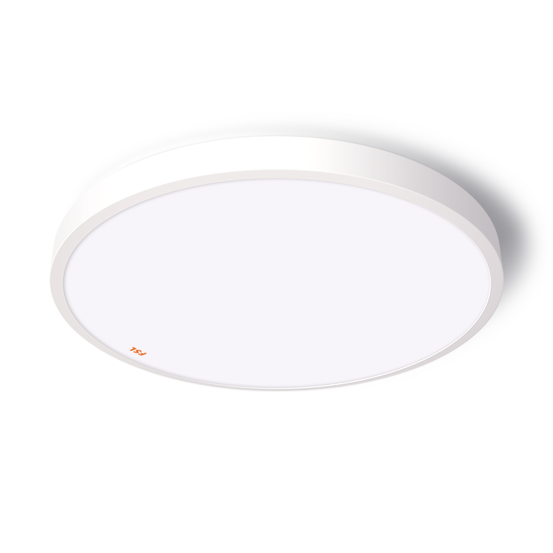 FSL 佛山照明 绅士系列 AD25W215B-D 卧室吸顶灯 25W 白色