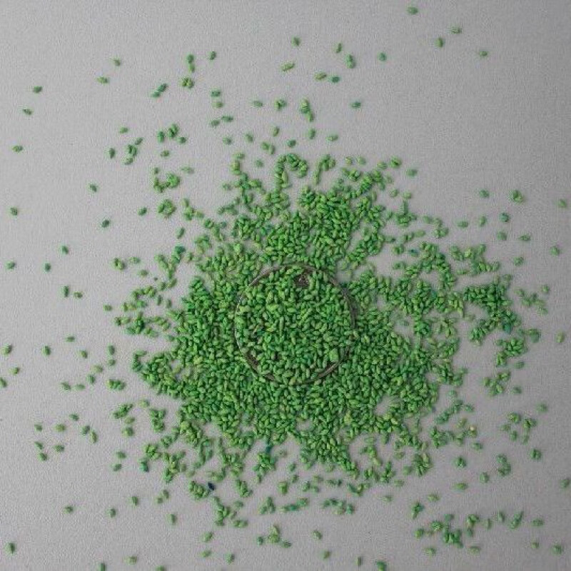 狗牙根种子零售家用庭院狗牙根草籽爬根草百慕大草坪种籽 狗牙根包衣