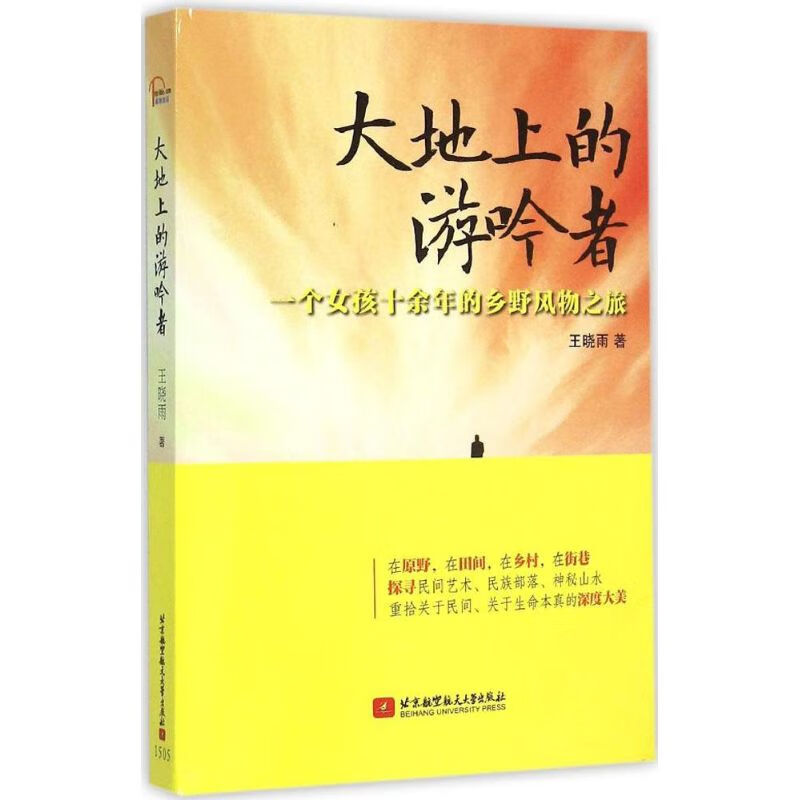 大地上的游吟者 王晓雨  书籍