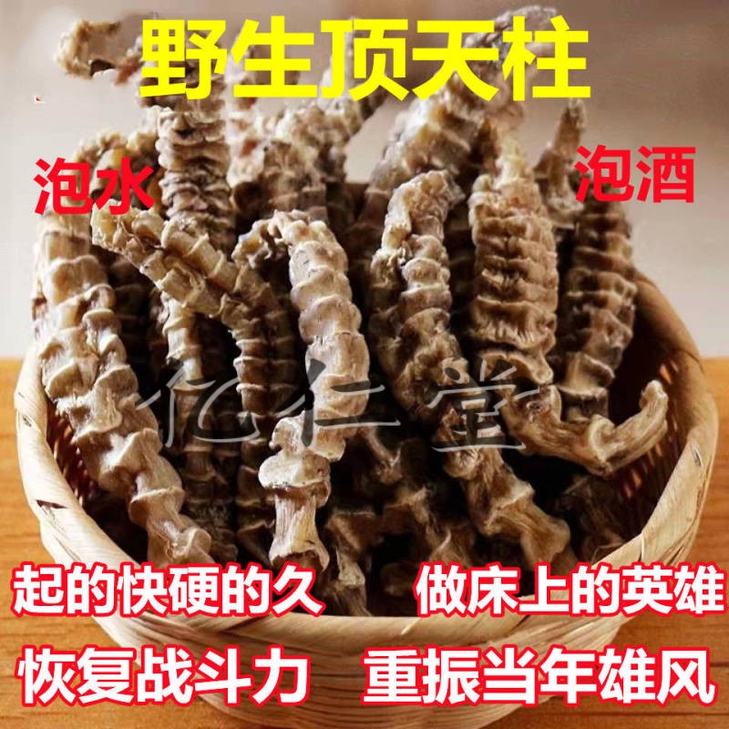 有仁堂 野牲顶天柱 顶天雄云南苗药顶天柱 顶天雄硬的快泡茶泡药酒料