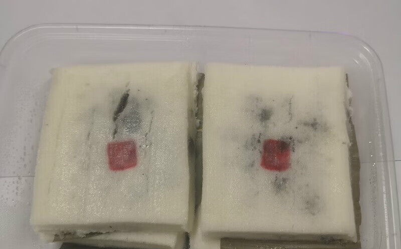 鲜有志茯苓糕温州瑞安土特产休闲零食茶食传统糕点小吃一盒4粒装 一盒