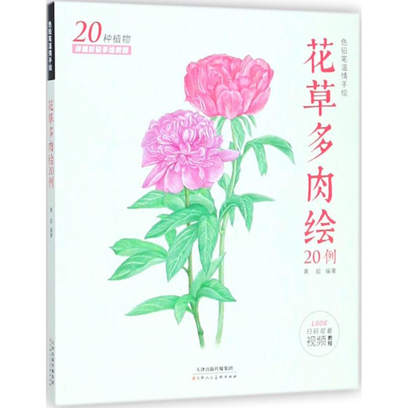 花草多肉绘20例