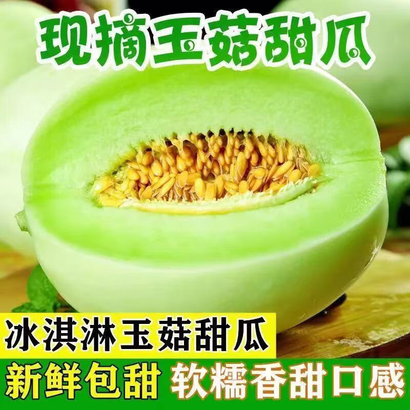 果益寿【多地隔日达】玉菇甜瓜水果 南汇冰激凌甜瓜白玉菇应季现摘