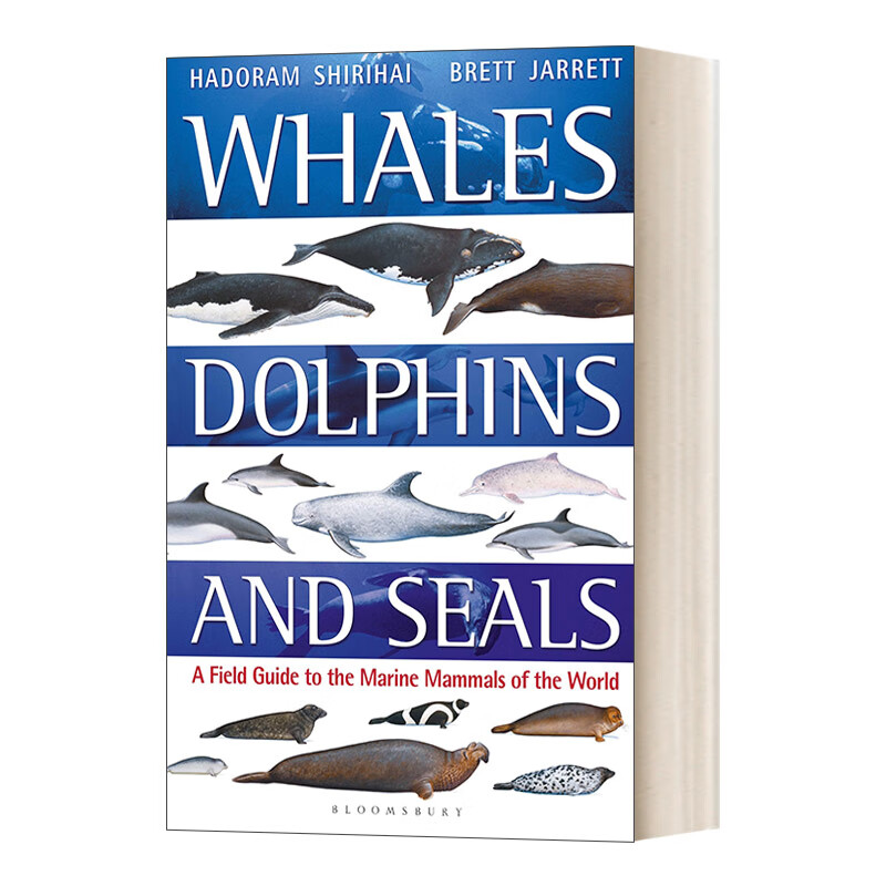 进口原版书 whales, dolphins and seals 鲸鱼,海豚和海报 英文版