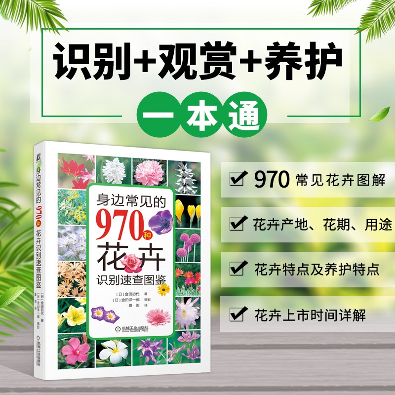身边常见的970种花卉识别速查图鉴 花卉植物大全 盆栽水培花卉 植物百科全书鉴别图册