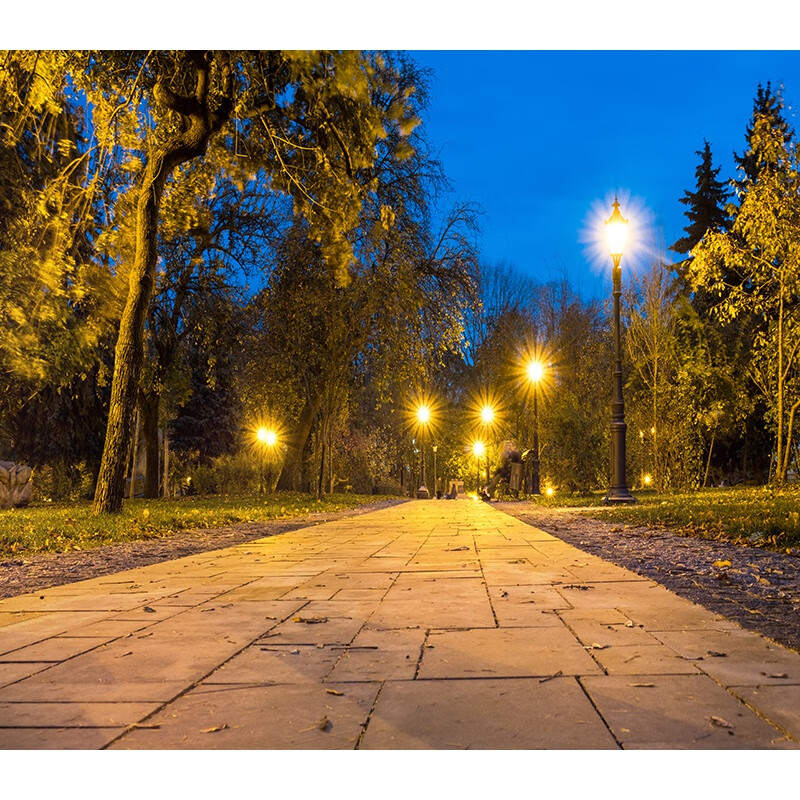 梦品雅农村背景布直播3d立体墙小区网红简约户外风景夜晚温馨感定制