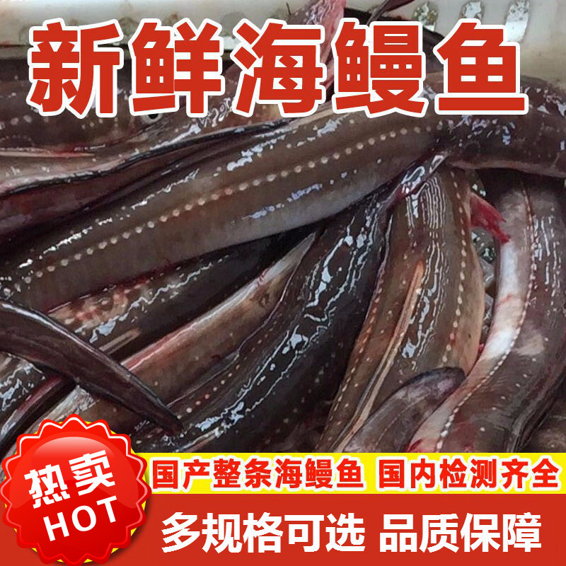 鳗鱼 整条冷冻海鲜大海鳗七星曼鱼段铁板烧食材水产批发 姬美食尚