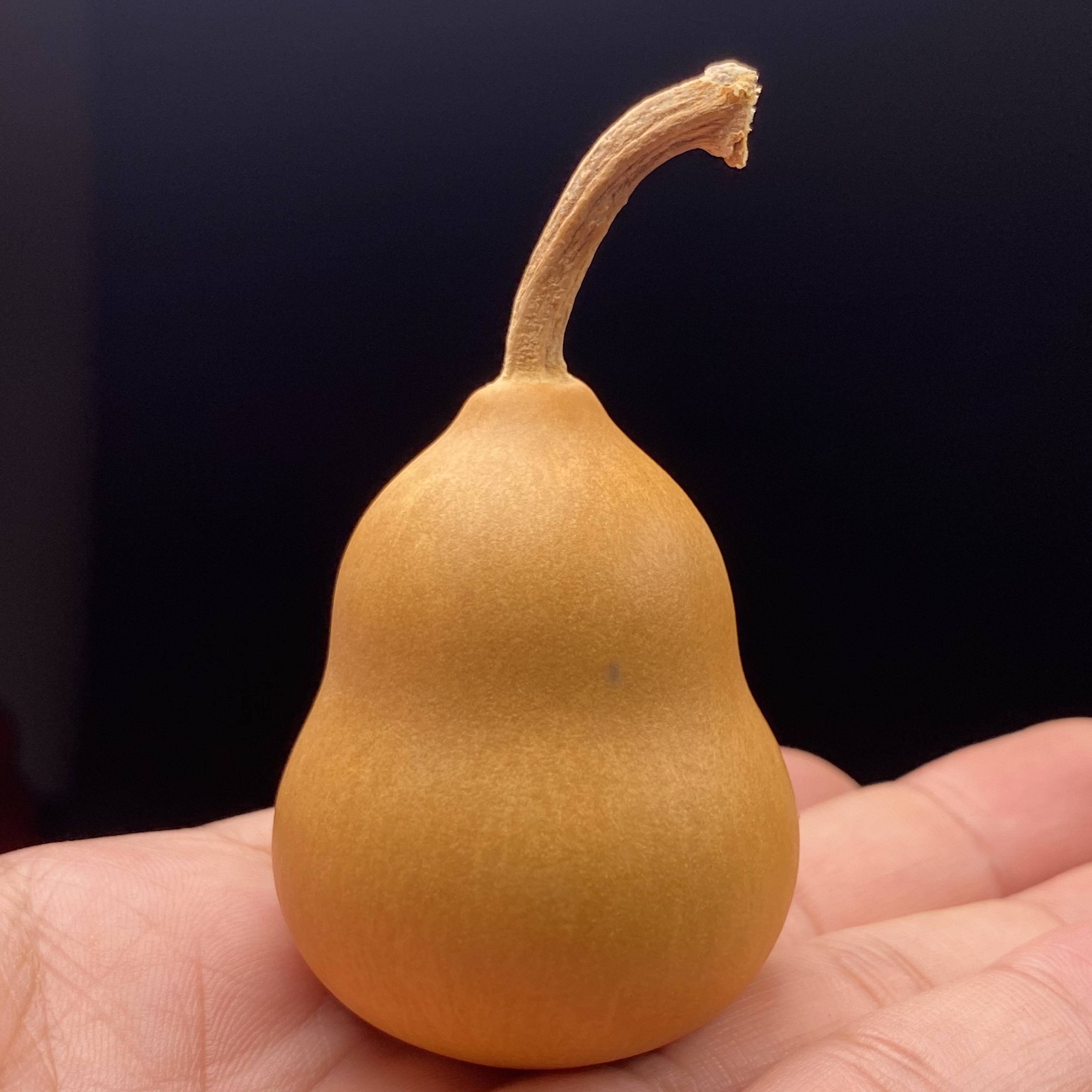 buhesyt天然手捻文玩文玩胖墩小葫芦手把件带龙头小手捻手盘玩把玩