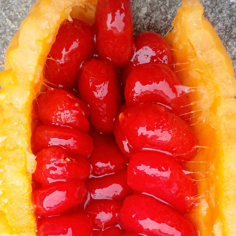 北蔬 赖葡萄种子水果蔬菜阳台爬藤种籽 赖瓜种子20粒原装