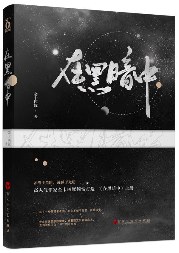 在黑暗中金十四钗花洲文艺出版社9787550034648 青春文学书籍