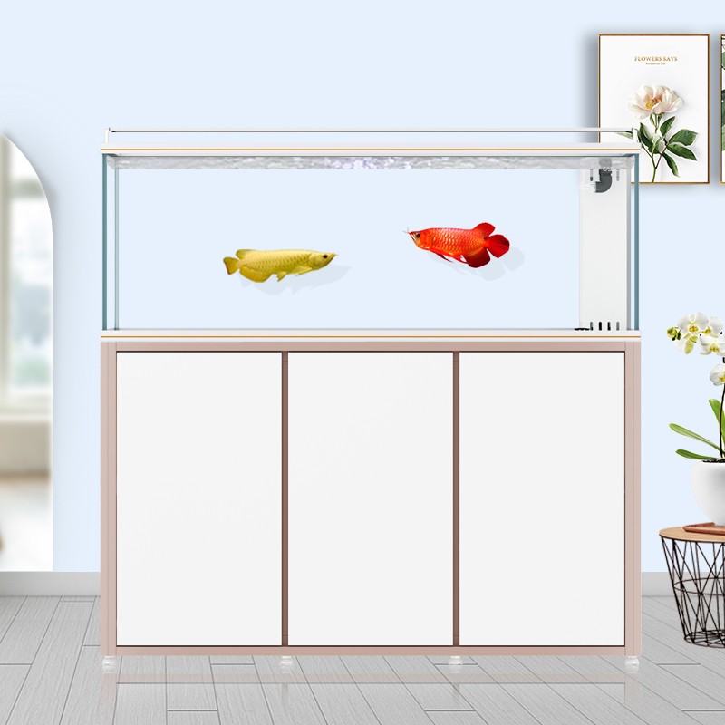 彩鲽彩蝶专业龙鱼缸四面超白玻璃中大型滴流式底滤鱼缸金鱼缸超级性能