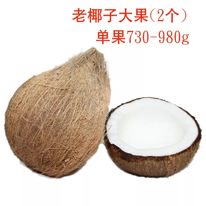 老椰子海南特产新鲜水果煲汤椰青毛椰子椰宝抛光原味去皮 老椰子大果(2个) 730-980g