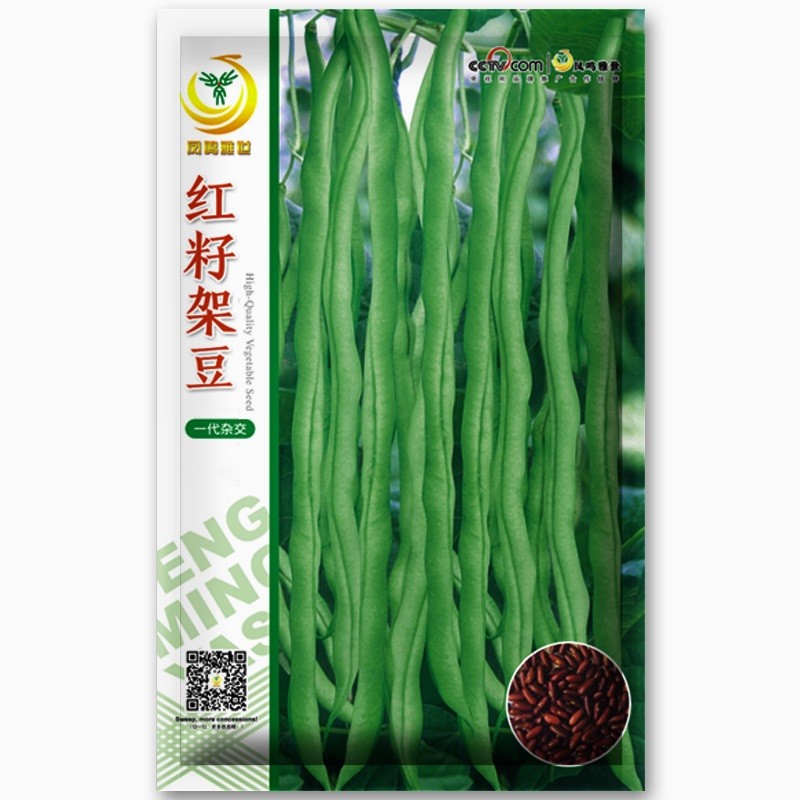 凤鸣雅世四季豆种子架豆种子豆角种紫无筋架豆种子蔬菜籽红架豆孑 红