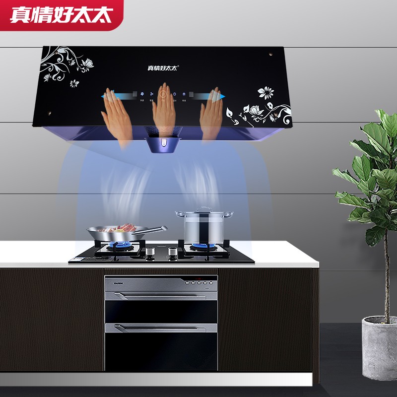 真情 好太太油烟机 抽油烟机 免拆洗中式大吸力吸油烟机 体感触摸双操控顶吸式 单机CXW-180-T608