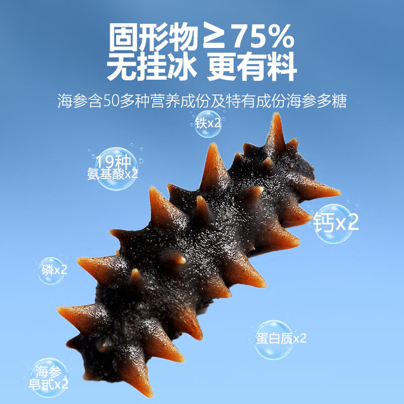 海纳堂即食海参90只独立包装开袋即食刺参礼盒鲜食冷蒸深海底播海参单只 9年参龄1斤4-6只【参王滋补】