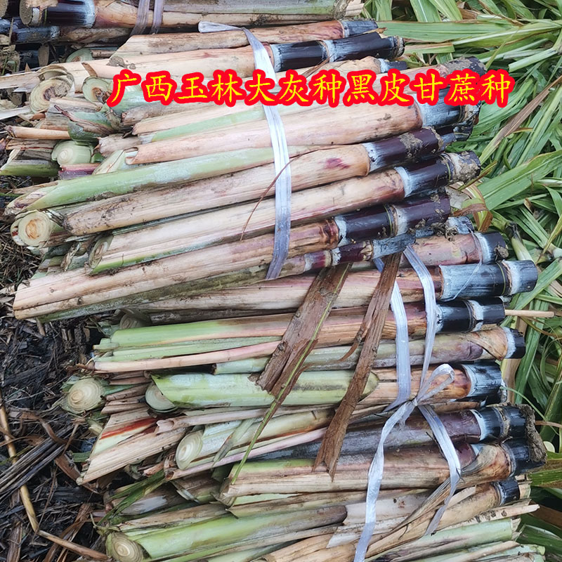 历史花草林木类价格走势图|花草林木类价格走势图