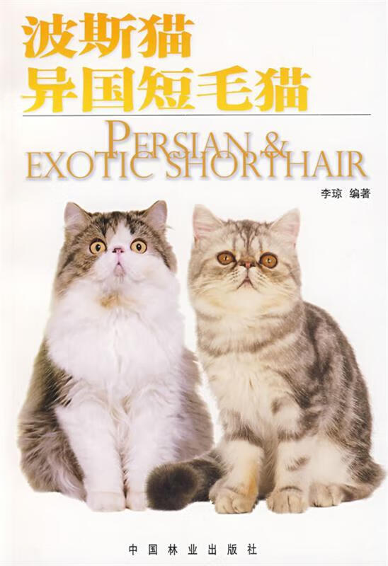 波斯猫异国短毛猫【正版特惠】