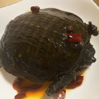 果亦橙现杀甲鱼生态青黄背活体宰杀真空包外塘仿生王八肉鳖 1.5斤