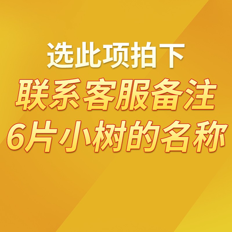 小小树香片挂饰香薰衣柜衣橱持久清淡香自然淡雅清新柠檬薰衣草车用家居多用途小树香水香片6片组合 可指定香味【备注6片】