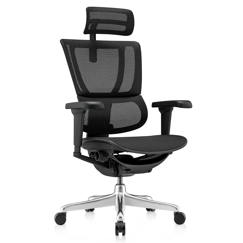 Ergonor保友優(yōu)b雄鷹 電腦椅人體工學(xué)椅家用 電競椅辦公椅子靠背老板椅 【優(yōu)b雄鷹】黑色網(wǎng) 精準承托 舒適久坐