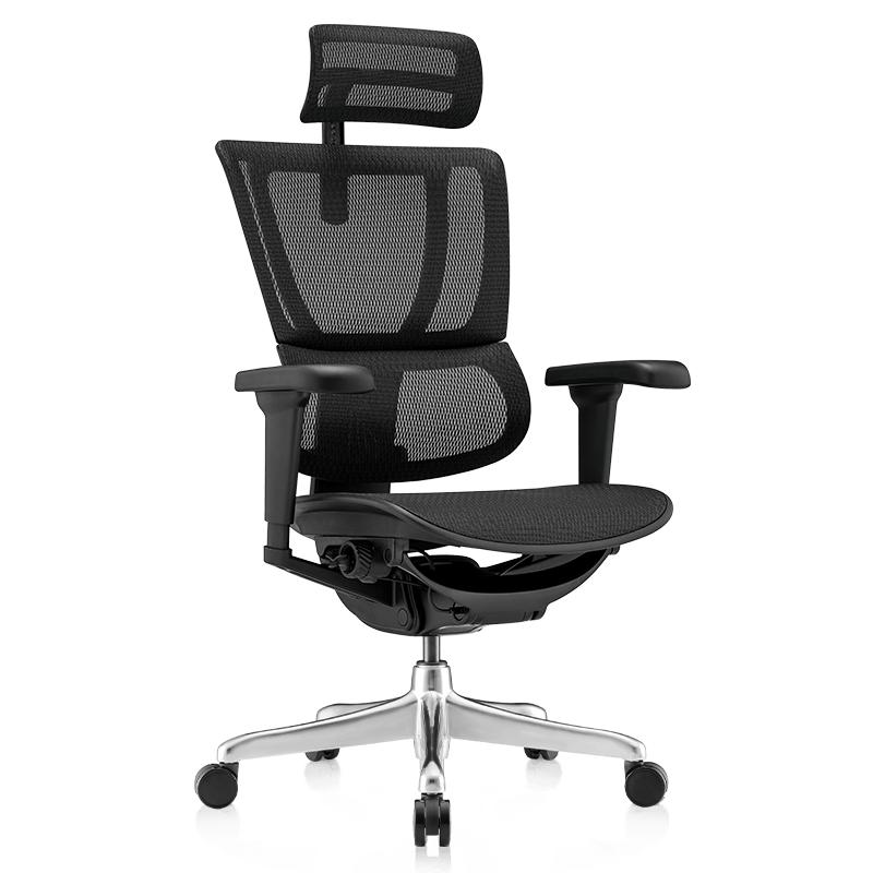 ���ڲ�����Ergonor������b��ӥ ���������幤ѧ�μ��� �羺�ΰ칫���ӿ����ϰ��� ����b��ӥ����ɫ�� ��׼���� ���ʾ��� 1845.09Ԫ