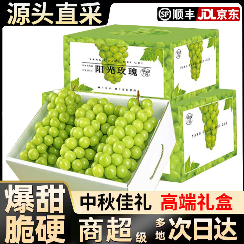 集年鲜四川阳光玫瑰葡萄新鲜脆甜无核好吃孕妇当季水果节日送礼A级果 净重2斤 优选果（单果8-10g)