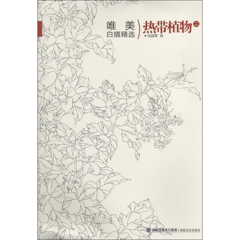 唯美白描精选(2)热带植物 马迎军 作 书籍